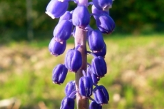 Frühjahr 2011 140