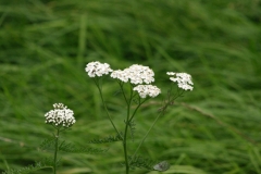 Herbstanfang - September 028