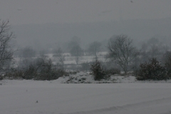 Winter 2010 053