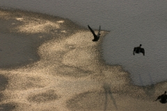 Winter 039