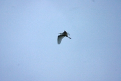 Winter 2010 148